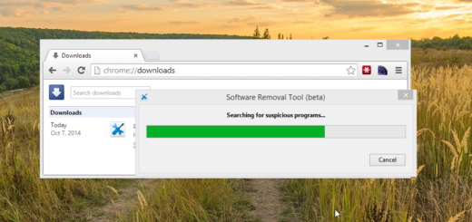 Download Chrome Clean Up Tool
