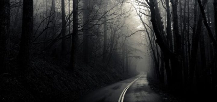 Download Into The Mist Theme