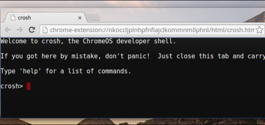Terminal Terminal