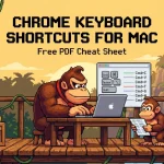Monkey using chromebook shortcuts