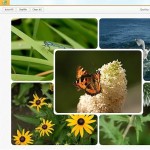 iPiccy-For-Chromebook