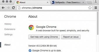 free download flash player for google chrome