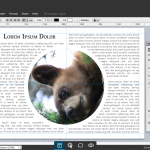 Lucidpress-newsletter-plugin