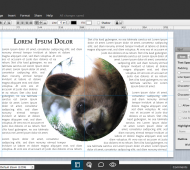 Lucidpress-newsletter-plugin