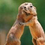microsoft-joins-forces-with-fierce-rivals-to-defend-apple-against-fbi-backdoors.jpg