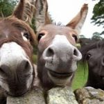 microsoft-google-and-samsung-bury-the-hatchet-with-new-partnerships.jpg