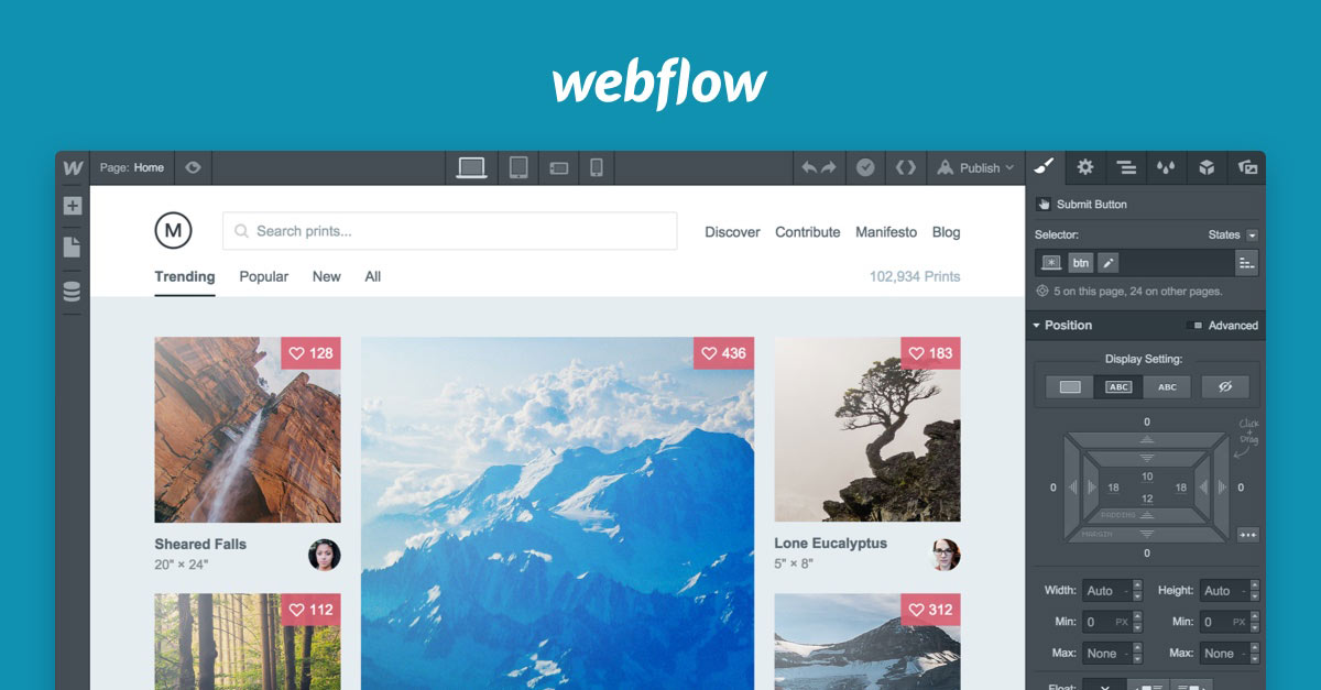 Webflow Online CMS For Chrome