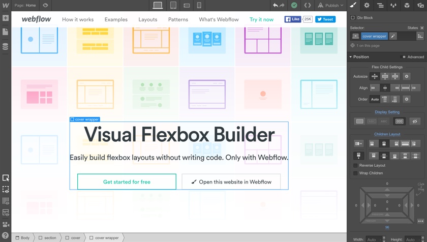 Webflow install app