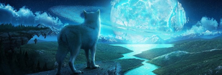 Wolf looking at ice planet