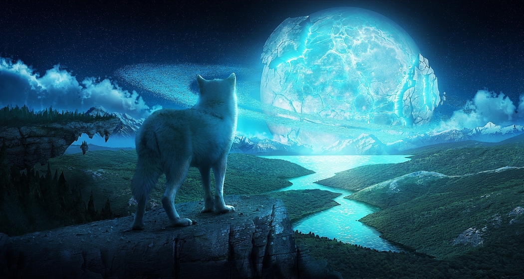 Wolf looking at ice planet