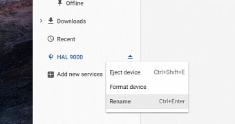 download chrome to flash drive