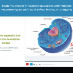 interactive-questions