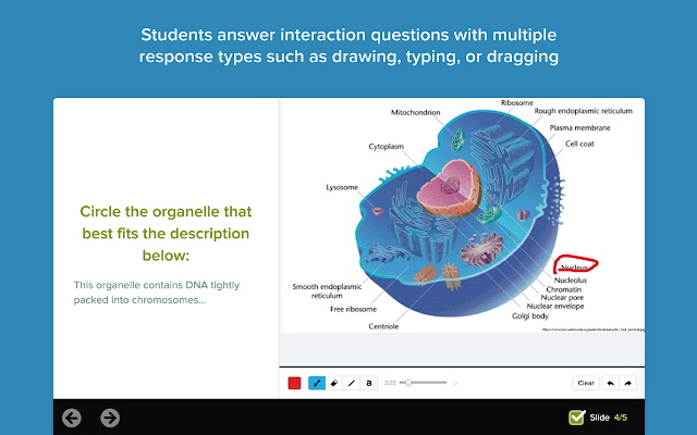 Interactive questions