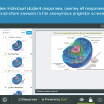 Students individual answers