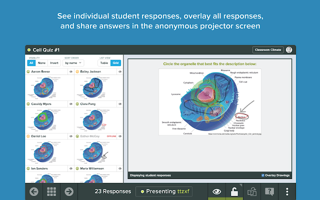 Students individual answers