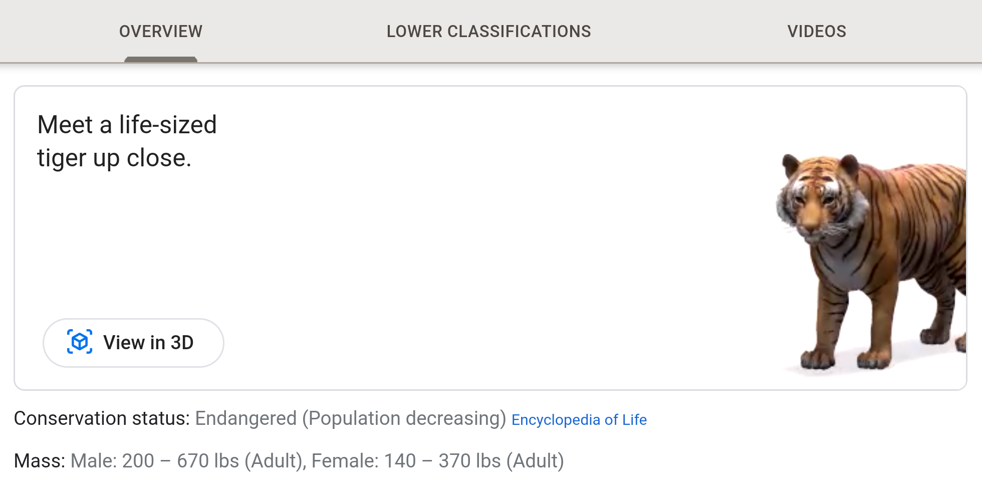 Google search ar animals