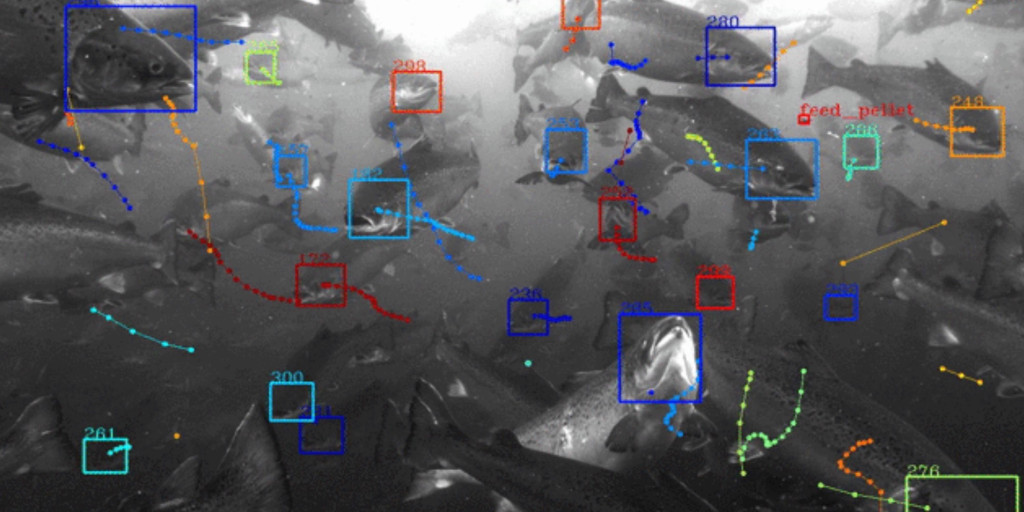 Alphabet x tidal ocean 1