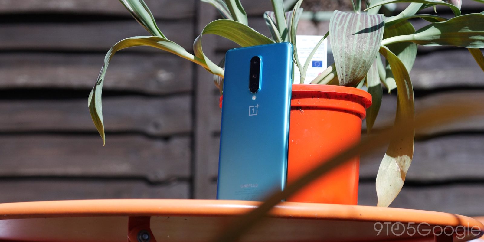 Latest oneplus android 11 preview prepares rcs teases oneplus 8t
