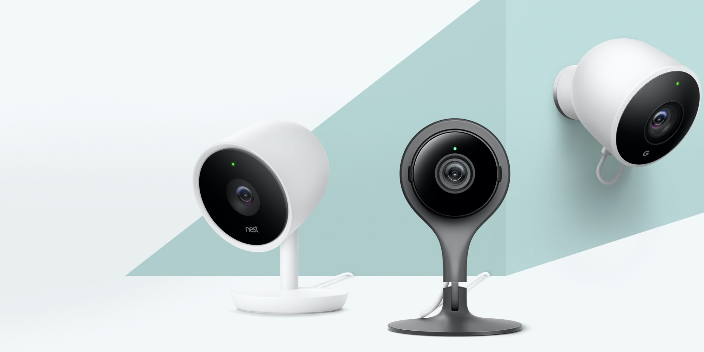 Google nest cams