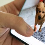 google_3d_animals_video_recording_1.jpg