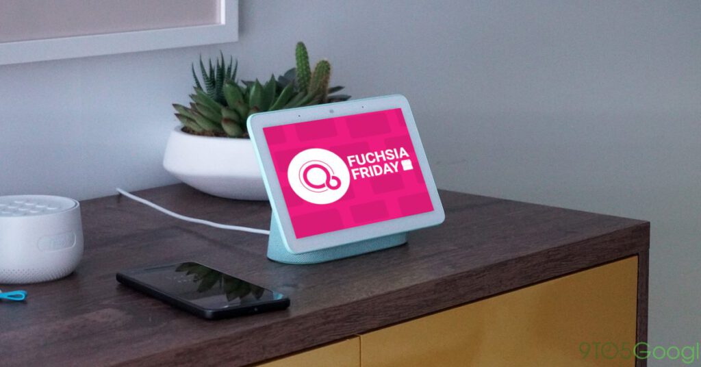 nest hub fuchsia