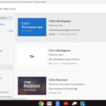 ChromeStore-CitrixW