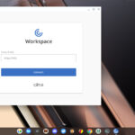 Citrix-WorkSpace-Screenshot
