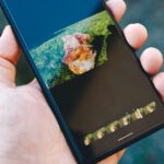 Google-Photos-Pixel-1-2.jpg