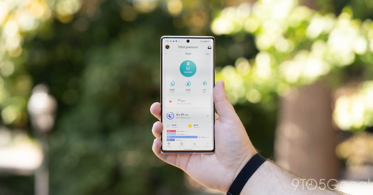 Fitbit app 2