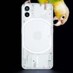 nothing-phone-1-with-bird.jpeg