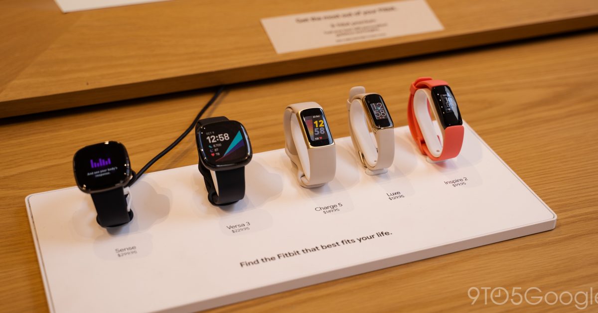 Fitbit family 2022