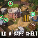 Build shelter
