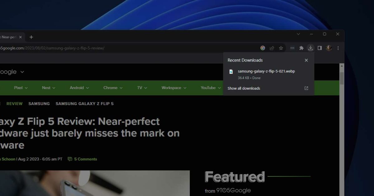 Downloads tray chrome header