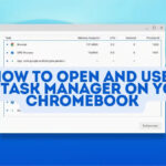 Task manager chromebook