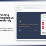Criminal ip extension