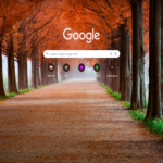 Fall in south korea pathway