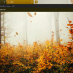 Falling autumn leafs