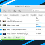 Freedlmanager extension