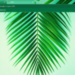 Green leaf summer