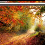 Peaceful autumn road