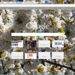 Spring flowering trees