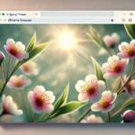 Spring theme for chrome