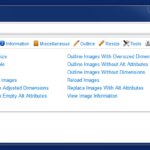 Web developer extension