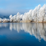 Winter water surface