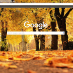 Ground level autumn trees