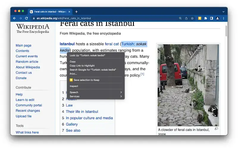 Google keep extension screenshot