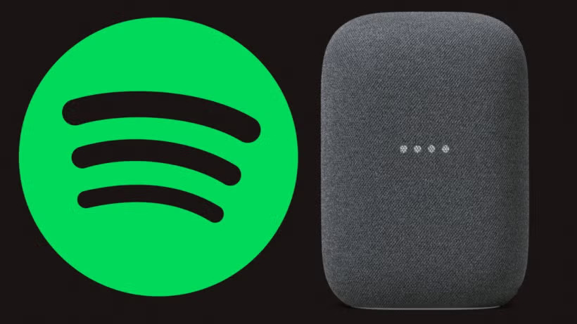 Spotify nest