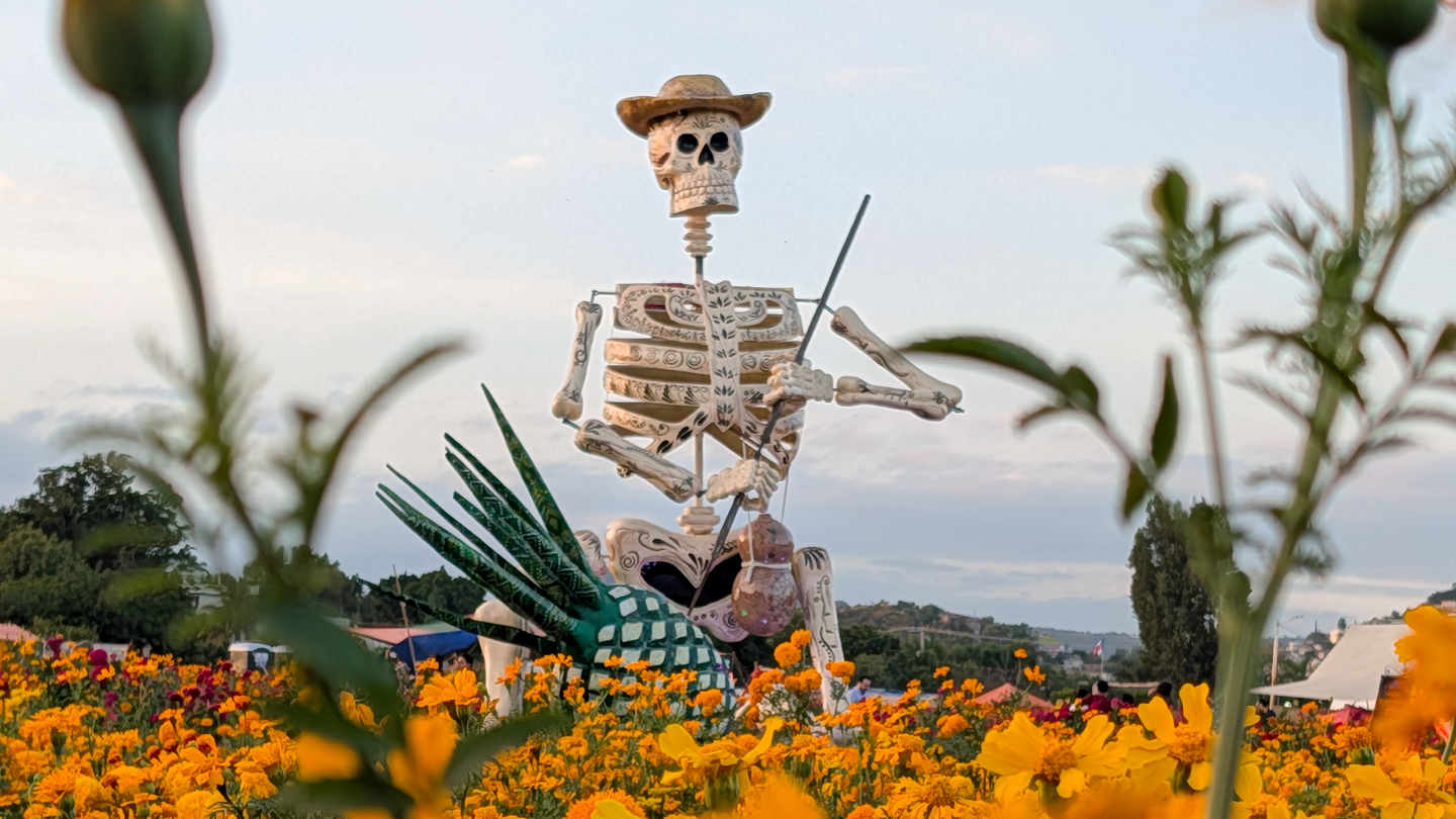 Diadelosmuertos social.max 1440x810.png