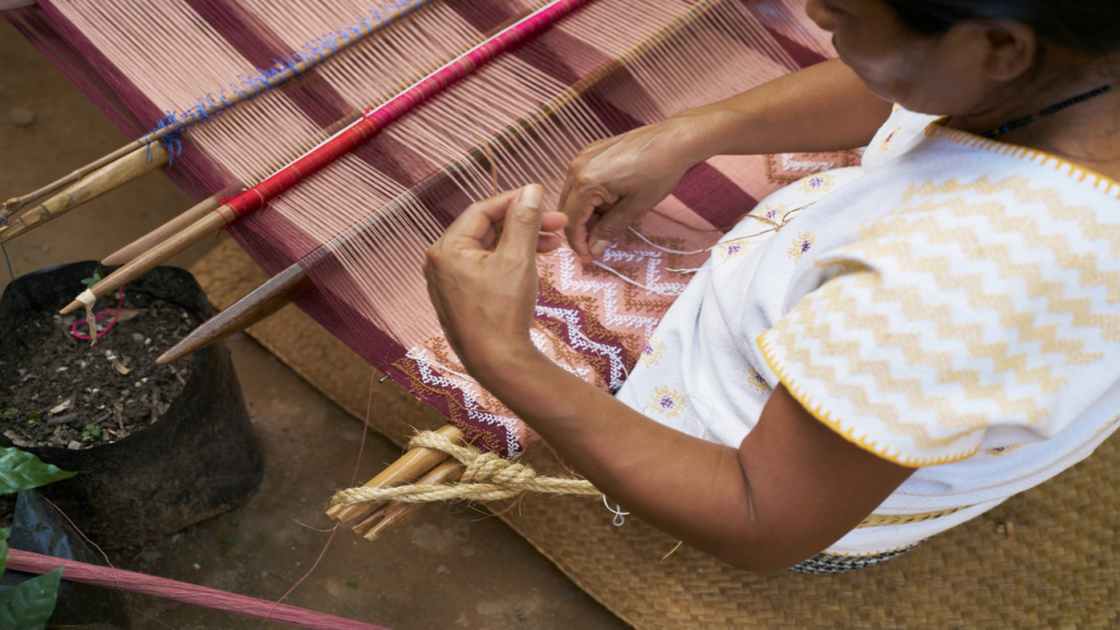 Zenaida tapia nicolas.width 1300.png