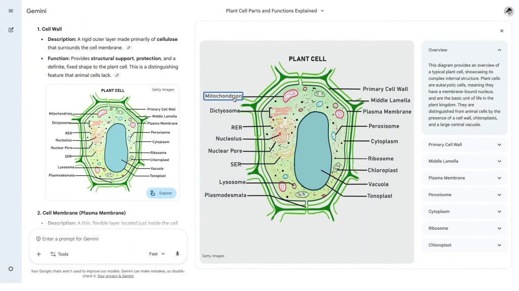 Wagtailvideo e6k80n42 thumb.jpg